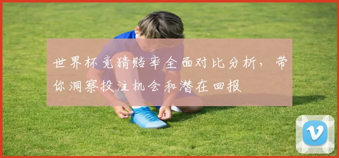 世界杯竞猜赔率全面对比分析，带你洞察投注机会和潜在回报