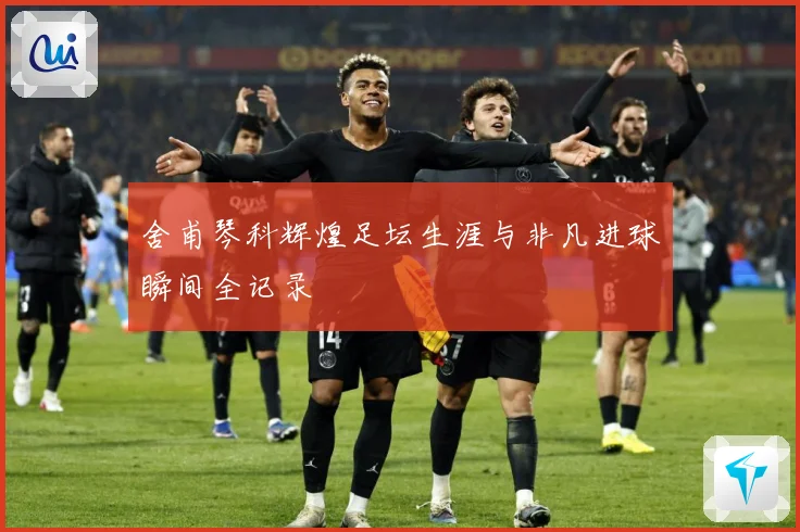 舍甫琴科辉煌足坛生涯与非凡进球瞬间全记录